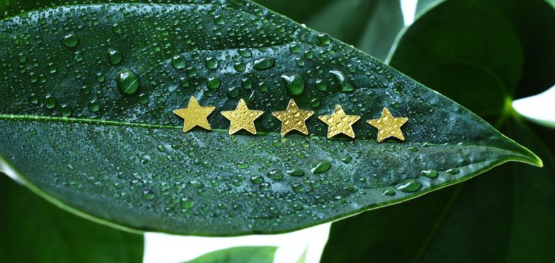The Impact Of Reviews And Testimonials On Local Business Success